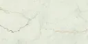 MAR WHITE POL RECT 60x120 - Palettenware