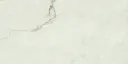 MAR ALMOND POL RECT 60x120 - Palettenware